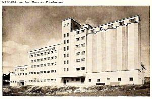 Mascara - Moulins Cooperatifs